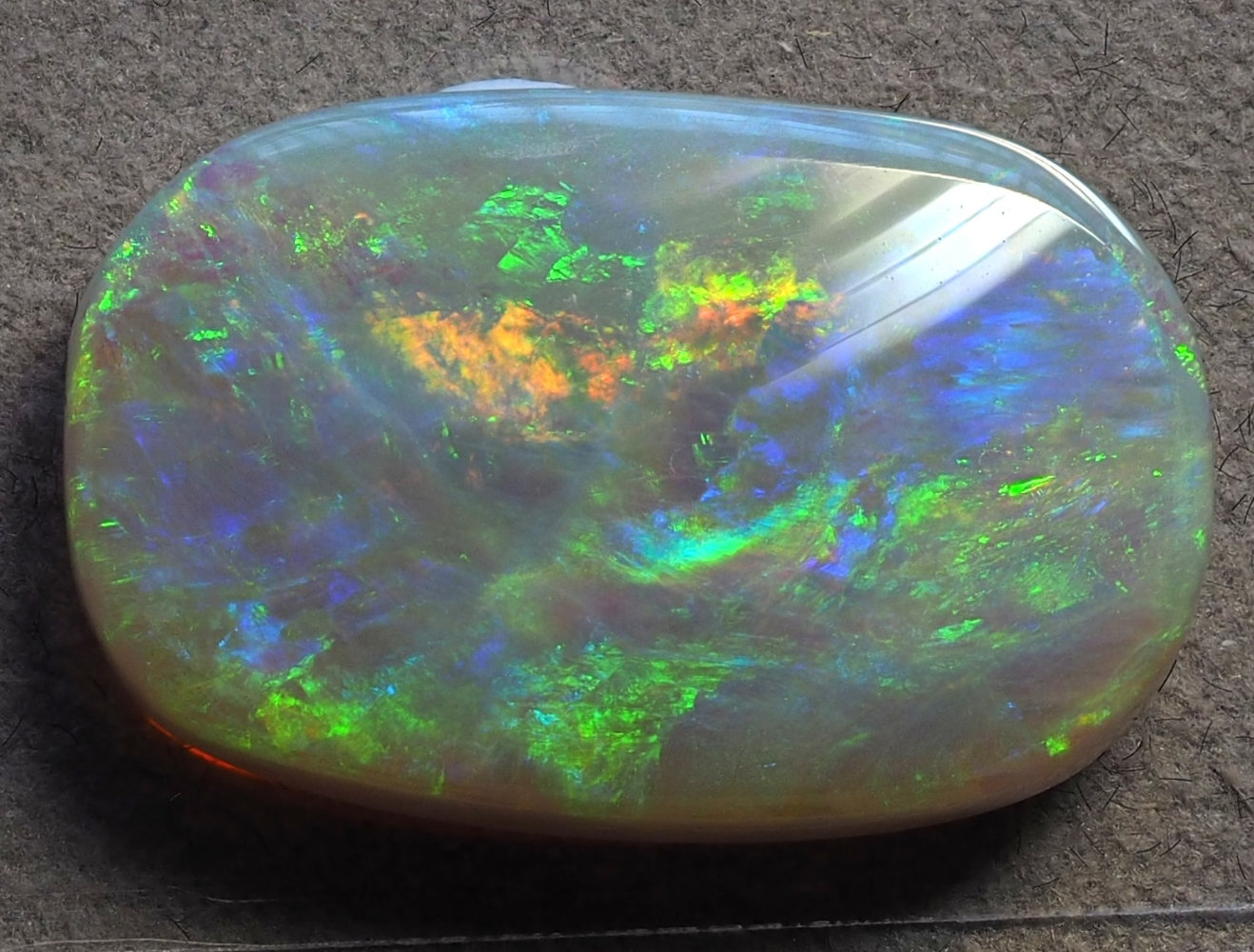 23.88ct N6-DARK SOLID OPAL from COOBER PEDY (SHELL PATCH DIGGINGS) — Stock #230393, Christianos Opals