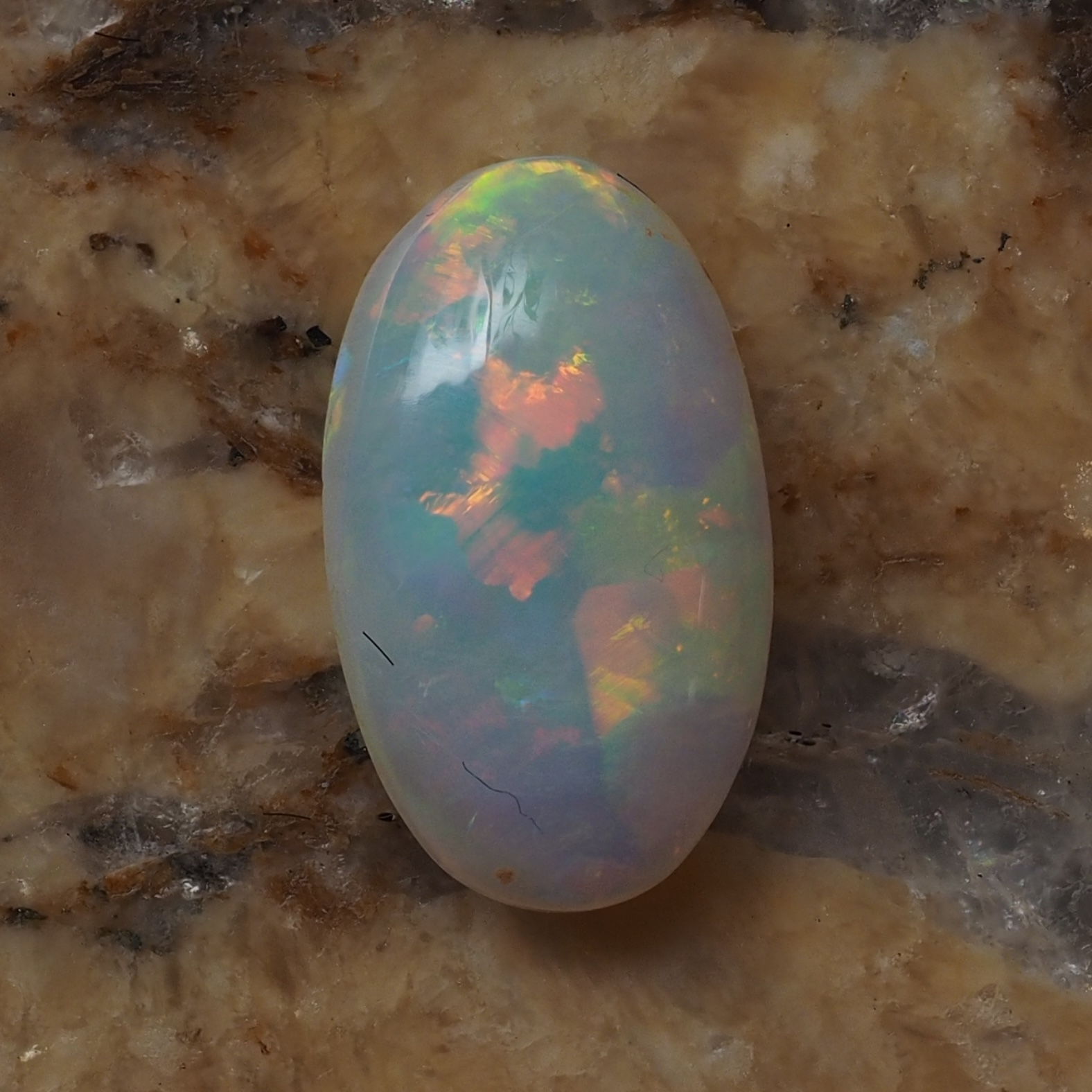 1.23ct N7-LIGHT SOLID OPAL from LIGHTNING RIDGE — Stock #230767, Christianos Opals