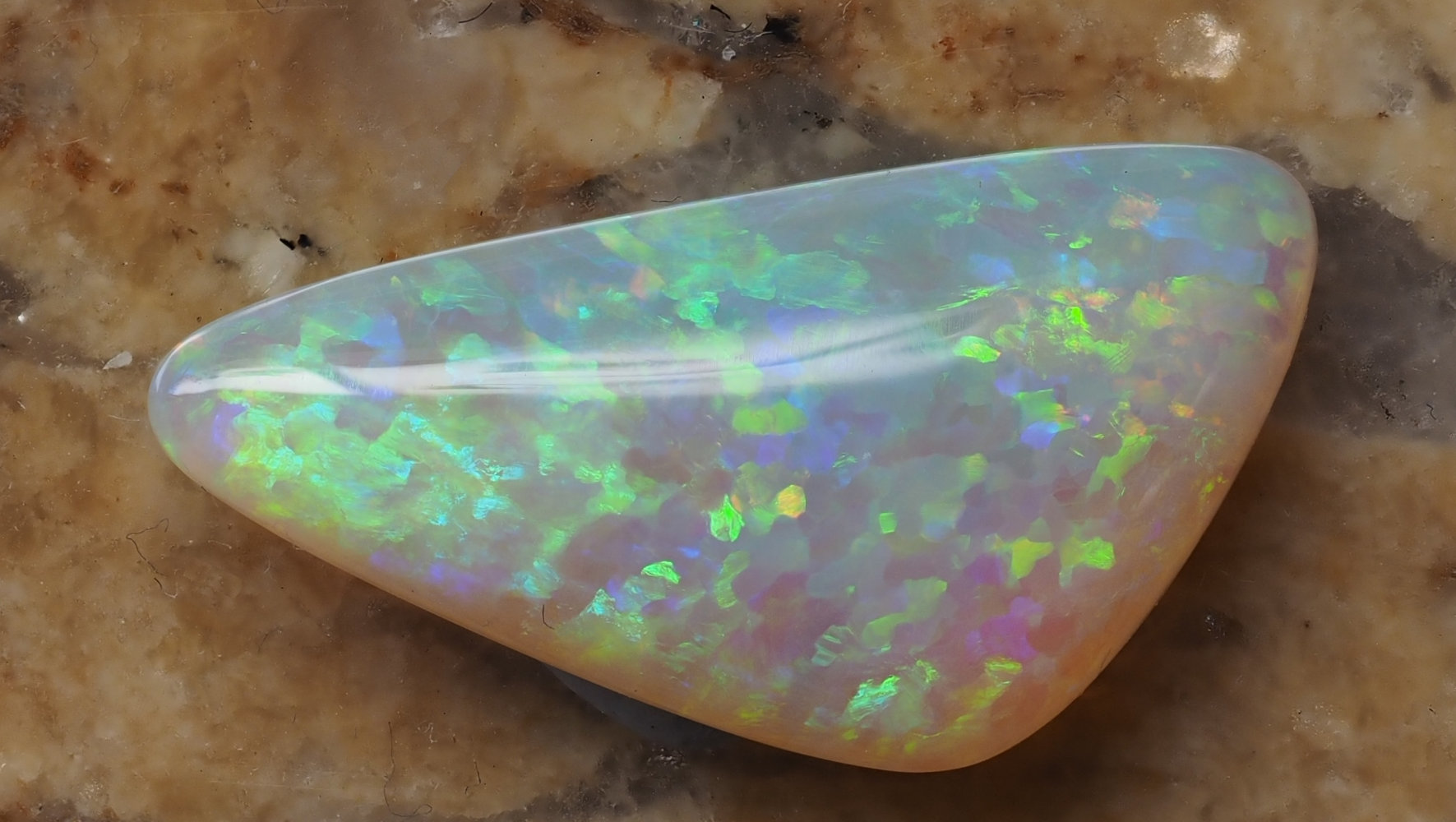 5.88ct N7-LIGHT SOLID OPAL from COOBER PEDY — Stock #252870, Christianos Opals