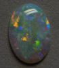 Daily Opal 2026-07-31 — stock 230472